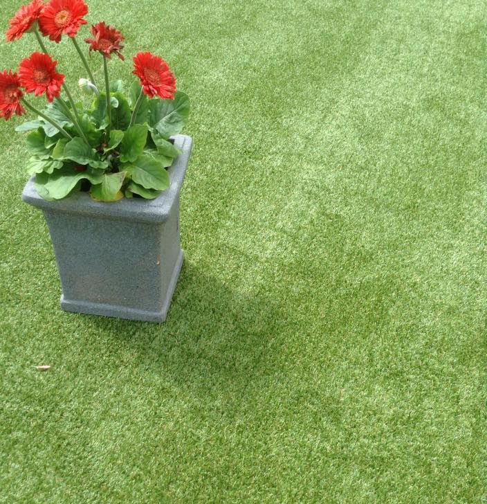 Artificial Grass